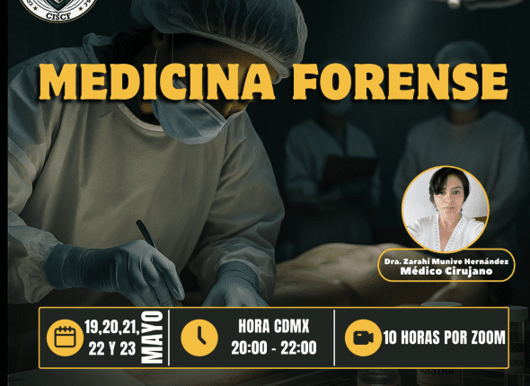 Captura de pantalla 2025-05-13 a las 9.51.52 p. m.